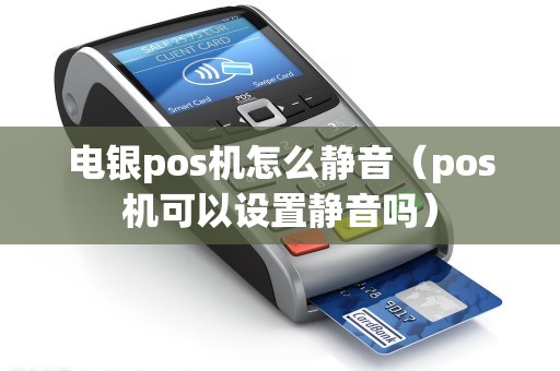 电银pos机怎么静音（pos机可以设置静音吗）