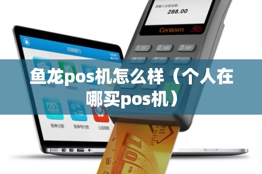 鱼龙pos机怎么样(个人在哪买pos机) 鱼龙pos机怎么样(个人在哪买pos机)