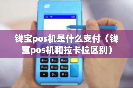 钱宝pos机是什么支付（钱宝pos机和拉卡拉区别）