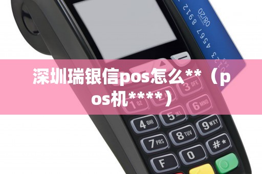 深圳瑞银信pos怎么**（pos机****）