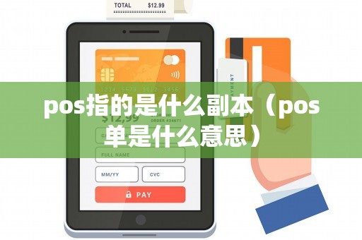 pos指的是什么副本（pos单是什么意思）