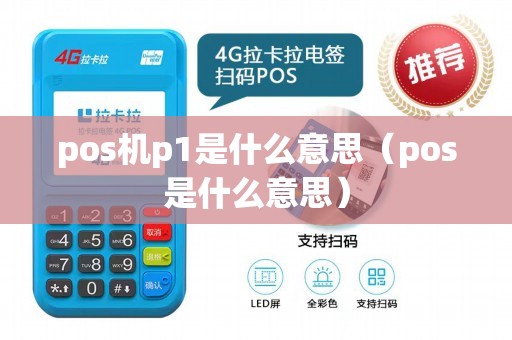 pos机p1是什么意思（pos是什么意思）