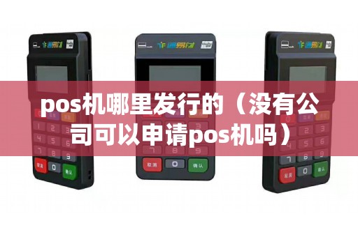pos机哪里发行的（没有公司可以申请pos机吗）