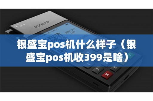 银盛宝pos机什么样子（银盛宝pos机收399是啥）