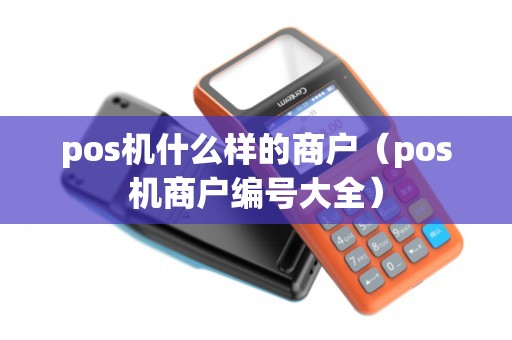 pos机什么样的商户（pos机商户编号大全）