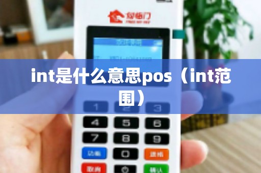 int是什么意思pos（int范围）
