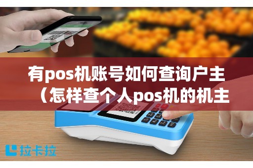 有pos机账号如何查询户主（怎样查个人pos机的机主）
