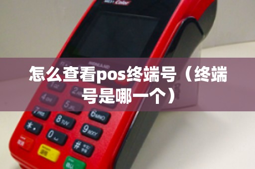 怎么查看pos终端号（终端号是哪一个）