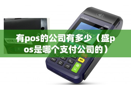 有pos的公司有多少（盛pos是哪个支付公司的）