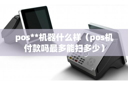 pos**机器什么样（pos机付款吗最多能扫多少）