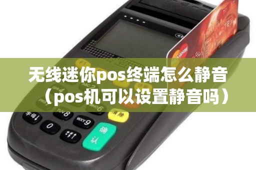无线迷你pos终端怎么静音（pos机可以设置静音吗）