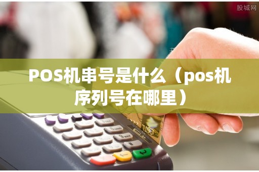 POS机串号是什么（pos机序列号在哪里）