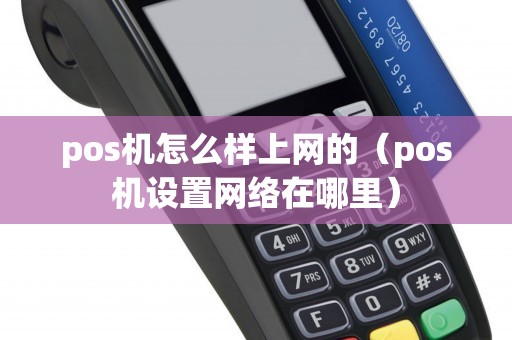pos机怎么样上网的（pos机设置网络在哪里）