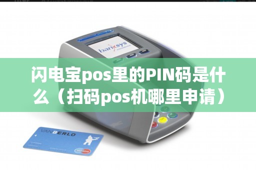 闪电宝pos里的PIN码是什么（扫码pos机哪里申请）
