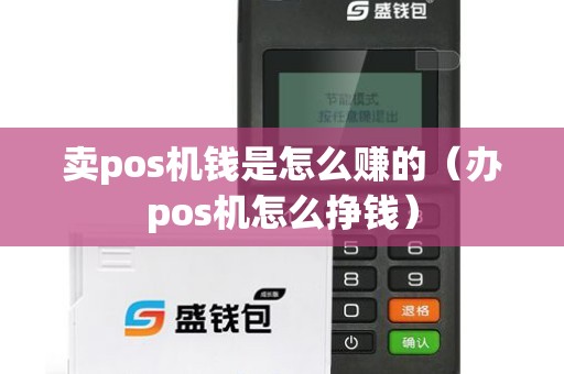 卖pos机钱是怎么赚的（办pos机怎么挣钱）