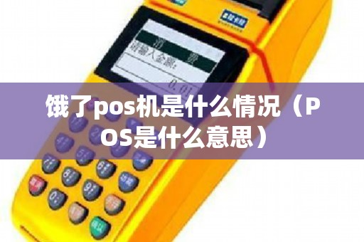 饿了pos机是什么情况（POS是什么意思）