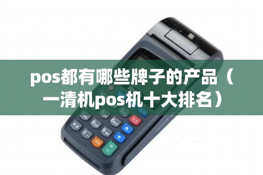 pos都有哪些牌子的产品（一清机pos机十大排名）