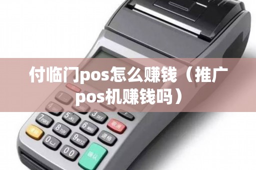 付临门pos怎么赚钱（推广pos机赚钱吗）