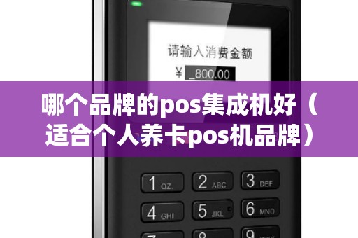 哪个品牌的pos集成机好（适合个人养卡pos机品牌）