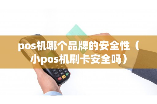 pos机哪个品牌的安全性（小pos机刷卡安全吗）