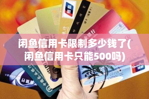闲鱼信用卡限制多少钱了(闲鱼信用卡只能500吗)