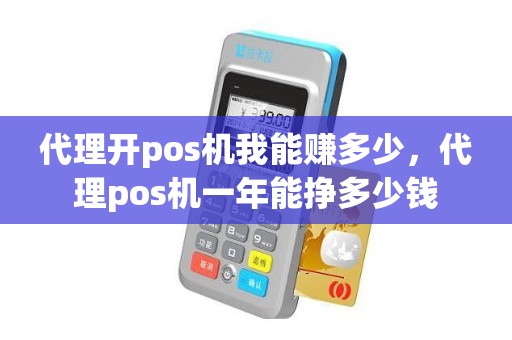 代理开pos机我能赚多少，代理pos机一年能挣多少钱