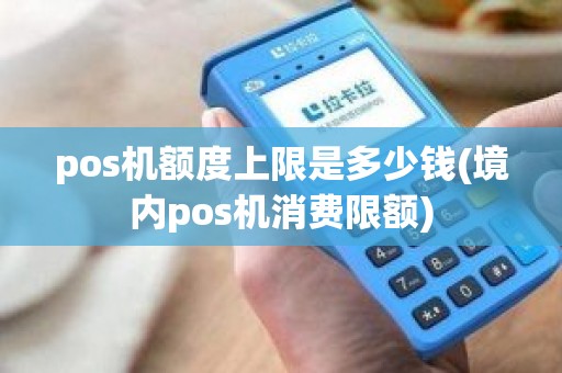 pos机额度上限是多少钱(境内pos机消费限额)