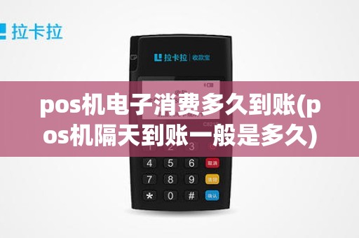 pos机电子消费多久到账(pos机隔天到账一般是多久)