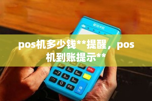 pos机多少钱**提醒，pos机到账提示**