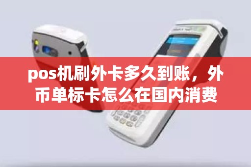 pos机刷外卡多久到账，外币单标卡怎么在国内消费