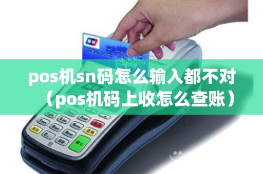 pos机sn码怎么输入都不对（pos机码上收怎么查账）