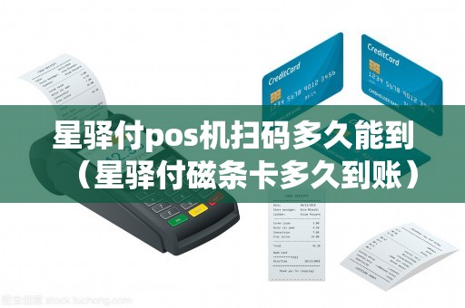 星驿付pos机扫码多久能到（星驿付磁条卡多久到账）