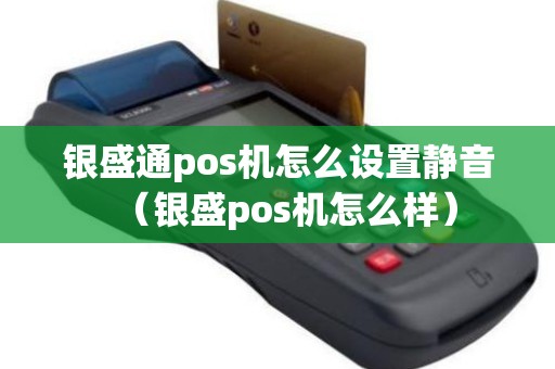 银盛通pos机怎么设置静音（银盛pos机怎么样）