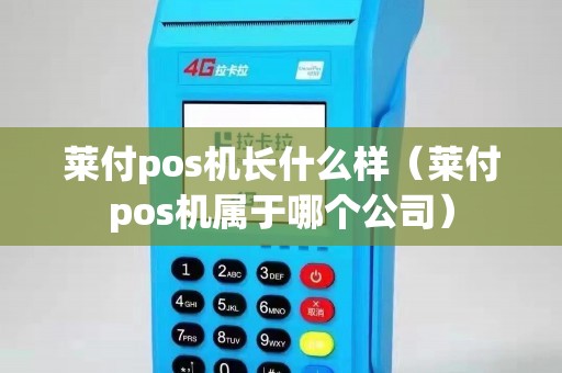 莱付pos机长什么样（莱付pos机属于哪个公司）