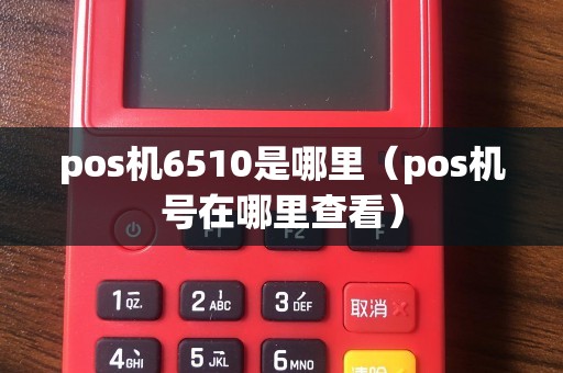 pos机6510是哪里（pos机号在哪里查看）