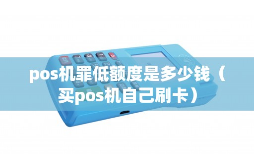 pos机罪低额度是多少钱（买pos机自己刷卡）