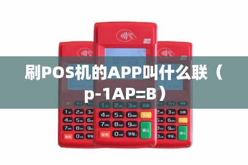 刷POS机的APP叫什么联（p-1AP=B）