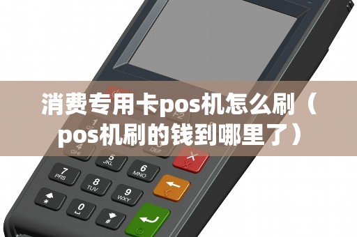 消费专用卡pos机怎么刷（pos机刷的钱到哪里了）