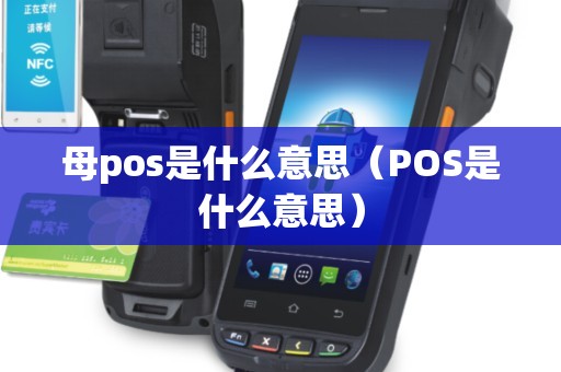 母pos是什么意思（POS是什么意思）