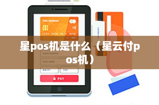 星pos机是什么（星云付pos机）