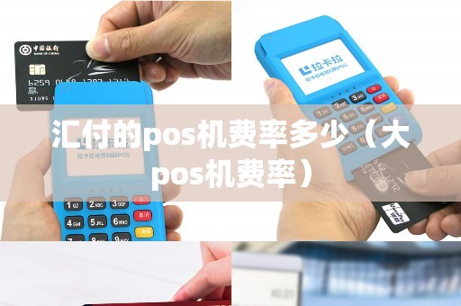 汇付的pos机费率多少（大pos机费率）