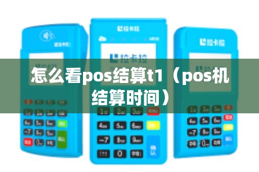 怎么看pos结算t1（pos机结算时间）