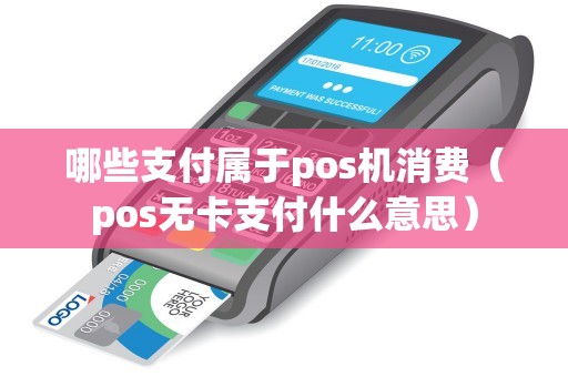 哪些支付属于pos机消费（pos无卡支付什么意思）