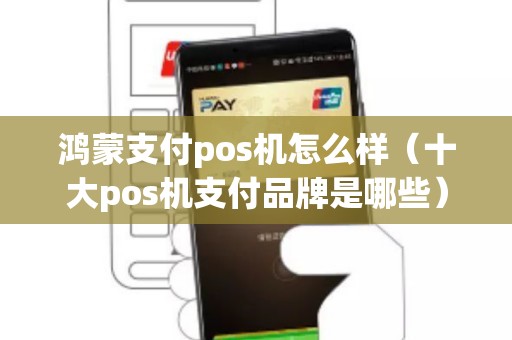 鸿蒙支付pos机怎么样（十大pos机支付品牌是哪些）