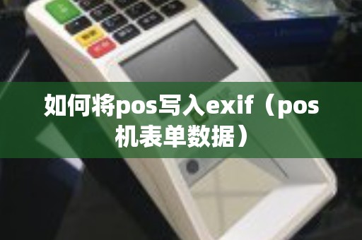 如何将pos写入exif（pos机表单数据）