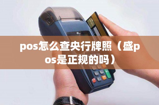 pos怎么查央行牌照（盛pos是正规的吗）