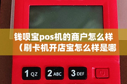 钱呗宝pos机的商户怎么样（刷卡机开店宝怎么样是哪里的）