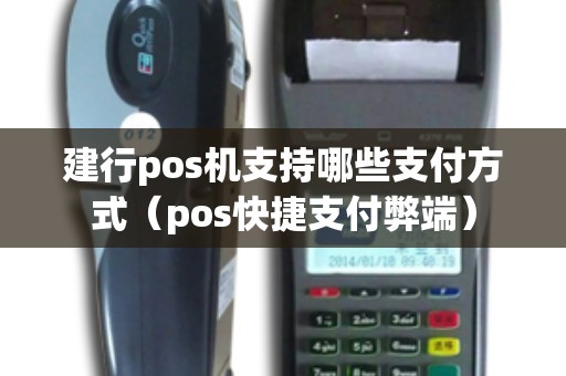 建行pos机支持哪些支付方式（pos快捷支付弊端）