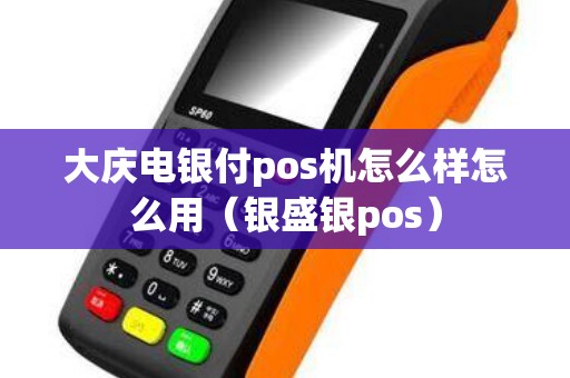 大庆电银付pos机怎么样怎么用（银盛银pos）