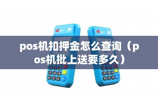 pos机扣押金怎么查询（pos机批上送要多久）